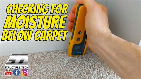 house inspection moisture meter|acceptable moisture levels in carpet.